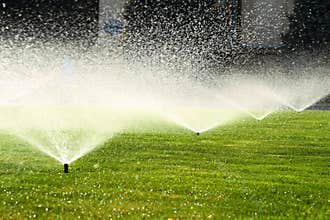 Garden sprinkler on the green lawn