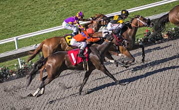 Race Horse Competition