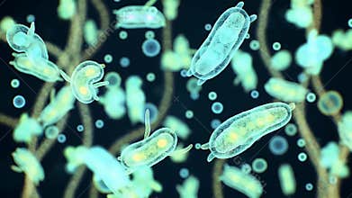 Animated Microscopic World with Cyan Protozoa and Organic Strands on Dark Backdrop Medical Background Animated Cellular Processes