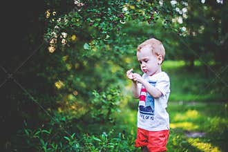 Child in Nature Examining Plant Life Amid Forest Greenery