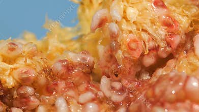 Figs in the hands of a man broken into two parts against the background of the sea. Live a healthy life. Be H3althy