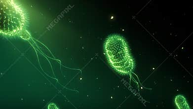 Bacteria_008