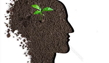 Brain new idea concept