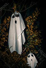 Scary playful ghosts - Crafts for Happy Halloween