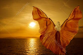 Butterfly Woman Wings Transform, flying on fantasy sunset