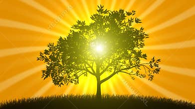 Growing Tree with Sunrise