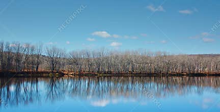 Landscape with blue sky and row of trees reflecting in the river