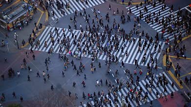City Pedestrian Traffic Shibuya Tokyo