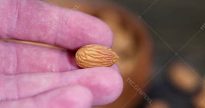 yellow-brown whole and unroasted almonds in a person's hand