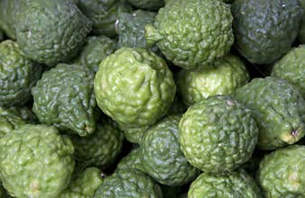 Bergamot
