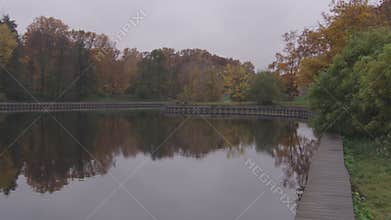 Fallen yellow leaves and ducks in the pond in public park in autumn