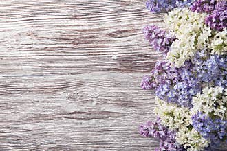 Lilac flowers on wood background, blossom branch on vintage wood