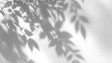 Moving Plant Leaf Shadow on White Wall for Minimalist Backgrounds, Calm Wellness and Product Mockup Visuals, AI generated