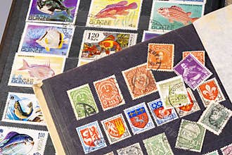 Collecting stamps from different countries and their designs