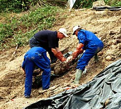 BOSNIAN CIVIL WAR