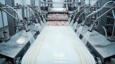 Automated Industrial Food Processing Line Washing Meat Products With Water Sprays Cleanliness Hygiene Automation