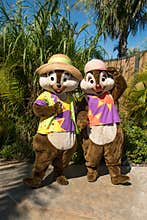 Tropical Chip and Dale