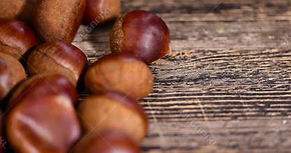 a hard edible chestnut fruit in a brown shell on a