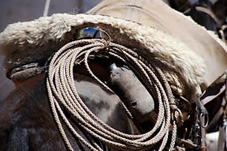 Horses kept in mountainous areas for the movement of climbers, mountaineers, and tourists. Blindfolded horses. Beautiful horses