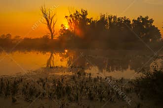 Sunrise over the lake with reflection of bare trees in the water.