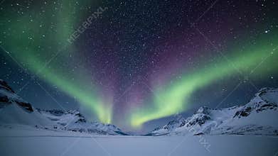 Mesmerizing, fluid ribbons of northern lights gracefully undulating and swirling across the dark firmament, creating a