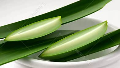 Aloe Vera Leaves and Cream: Natural Skincare