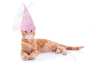 Princess Cat