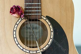 Guitar and Rose
