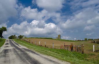 Summer Country Road