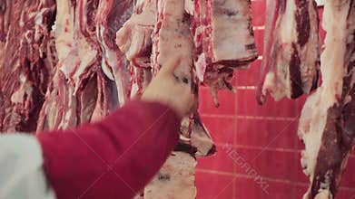 Beef and veal displayed at butcher stall, with neatly arranged steaks, ribs and tender cuts. Traditional Central Asian market
