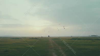 Dirt path leading across vast green field