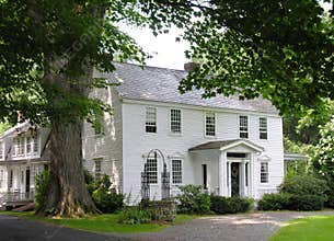 Home and tree