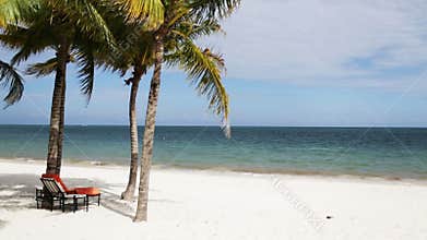 Tropical beach with palm trees and lounge
