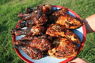 Plate of grilled chicken