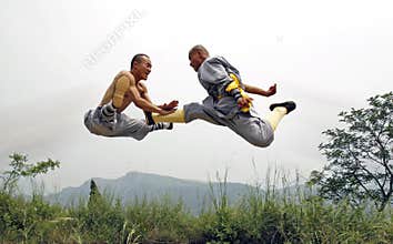 Chinese kung fu