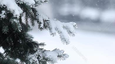 Details of actual snow falling at daytime in European city complicated life