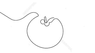 Organic tomato continuous line animation