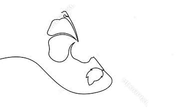 One line art animation seamless loop minimal design hibiscus flower icon