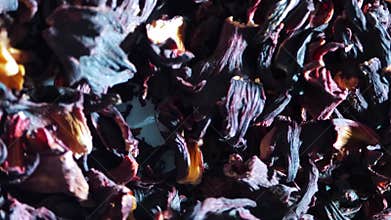 Top view of rotating pile of large dry hibiscus petals. Textured background of