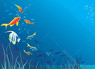 Underwater life. Fish, seaweed