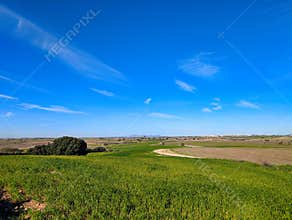 Green fields stretch under a clear blue sky in a rural landscape with distant hills during daytime hours