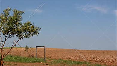 Dry windy farm landscape