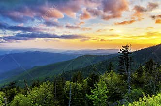 Clingmans Dome, Great Smoky Mountains, tennessee