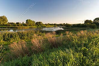 Evening light reflects off calm waters by the lush riverbank at a serene nature location with green foliage