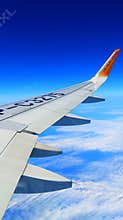 Cebu pacific airbus wing against blue sky