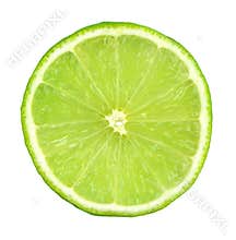 Green lime slice