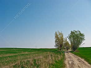 Cyclist in spring dirt path