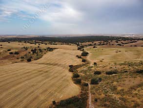 Expansive golden fields and winding paths showcase natural beauty in rural landscape during daylight