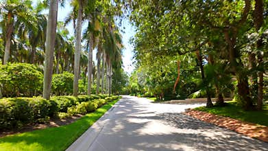 Star Island. stabilized stock video motion tour 2025