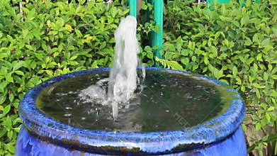 Relaxing view of greenery plant and tree market at Chiang Mai, Thailand